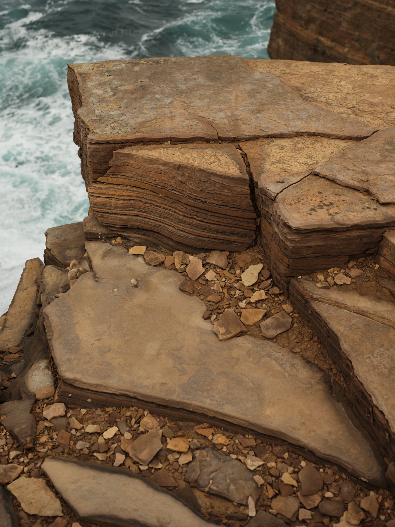 Scarf "Acre" - Barley, Hazelnut, Birch