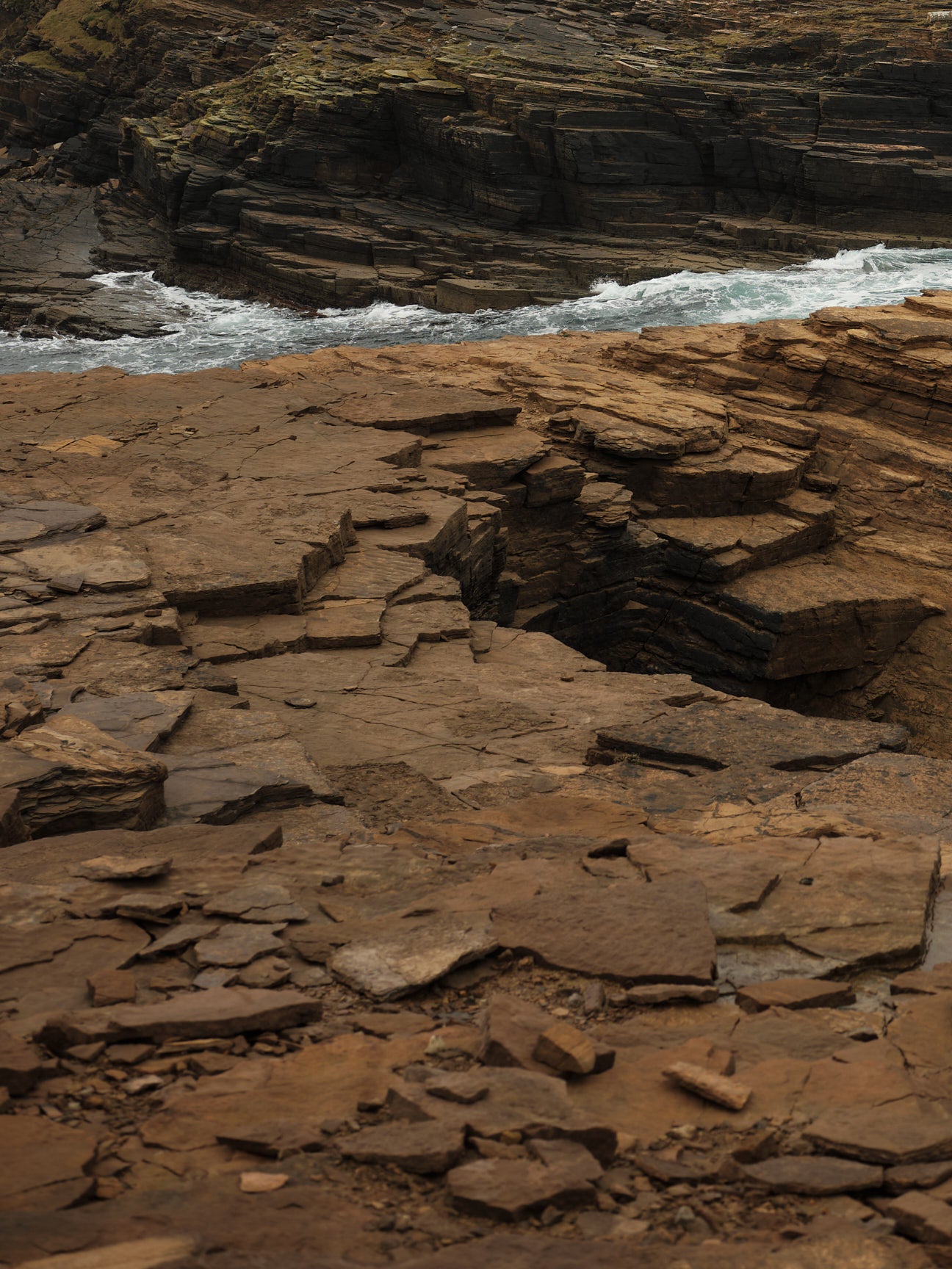 Scarf "Acre" - Barley, Hazelnut, Birch