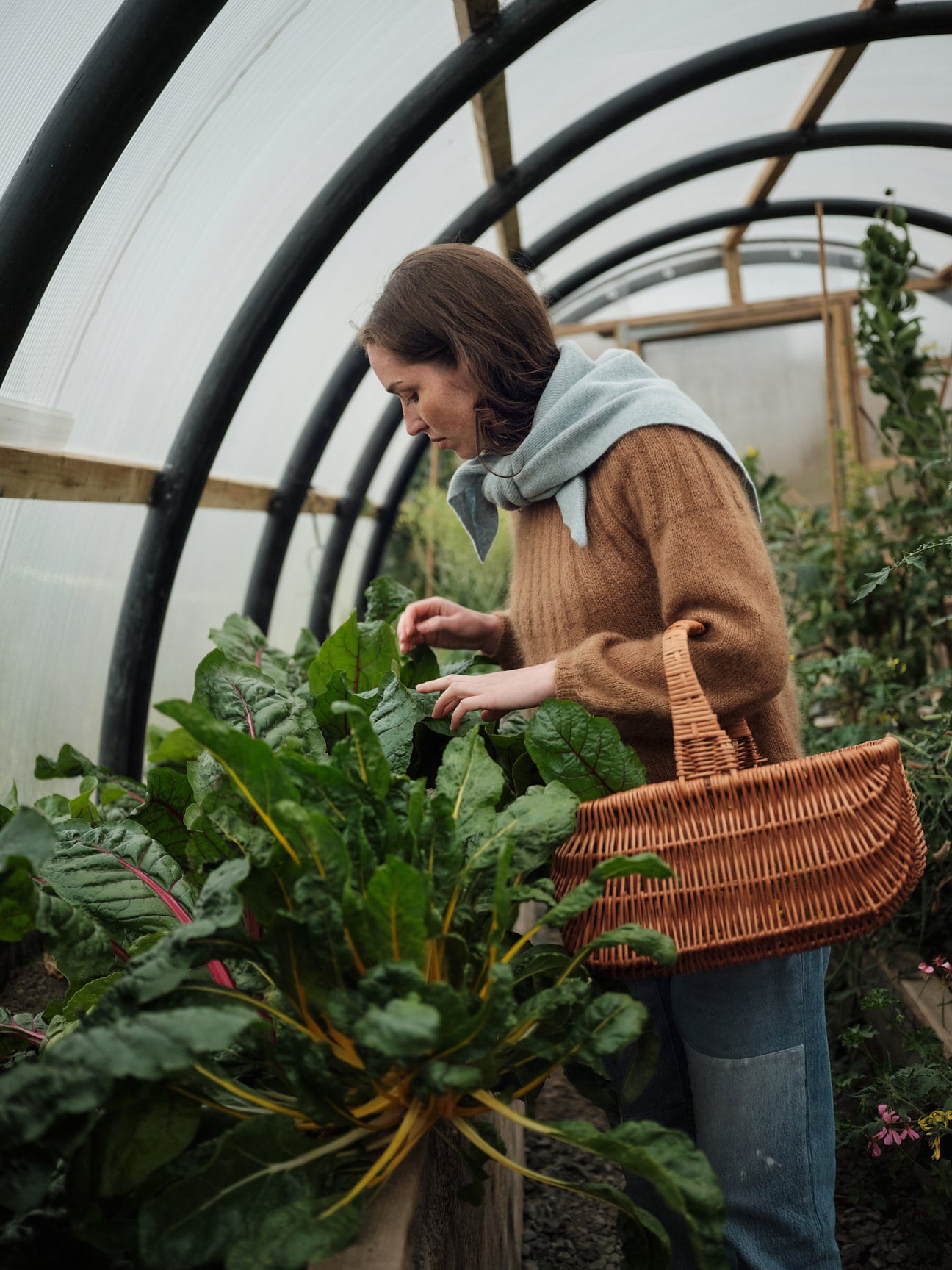 Scarf "Swift Tail" - Haar