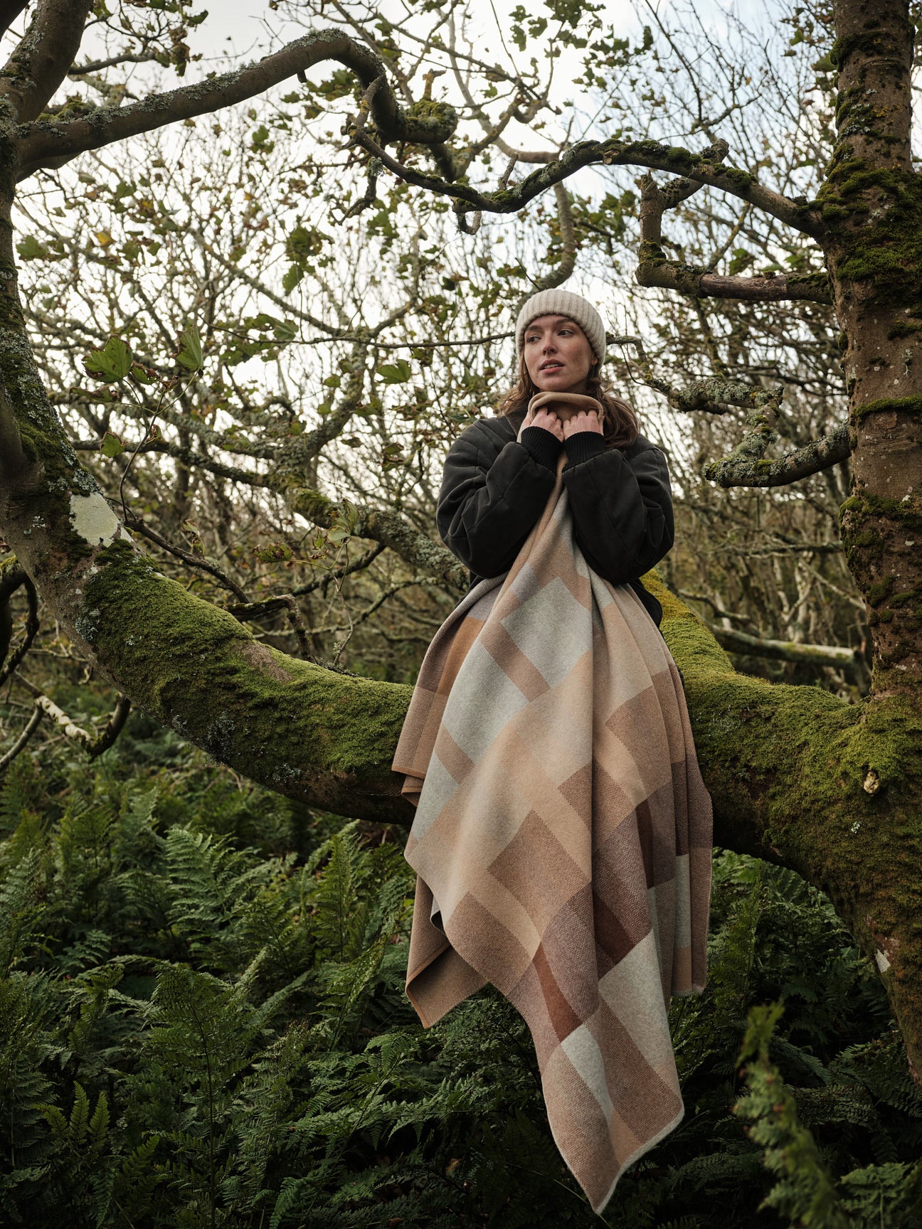 Blanket "Acre" - Barley, Hazelnut, Birch